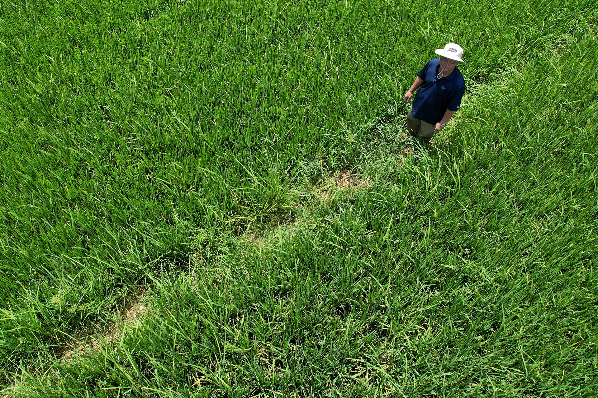 Đột phá số lượng, sâu sắc nội dung, tôn vinh ngòi bút viết nên khát vọng nông nghiệp, nông dân, nông thôn Việt Nam  - Ảnh 5.