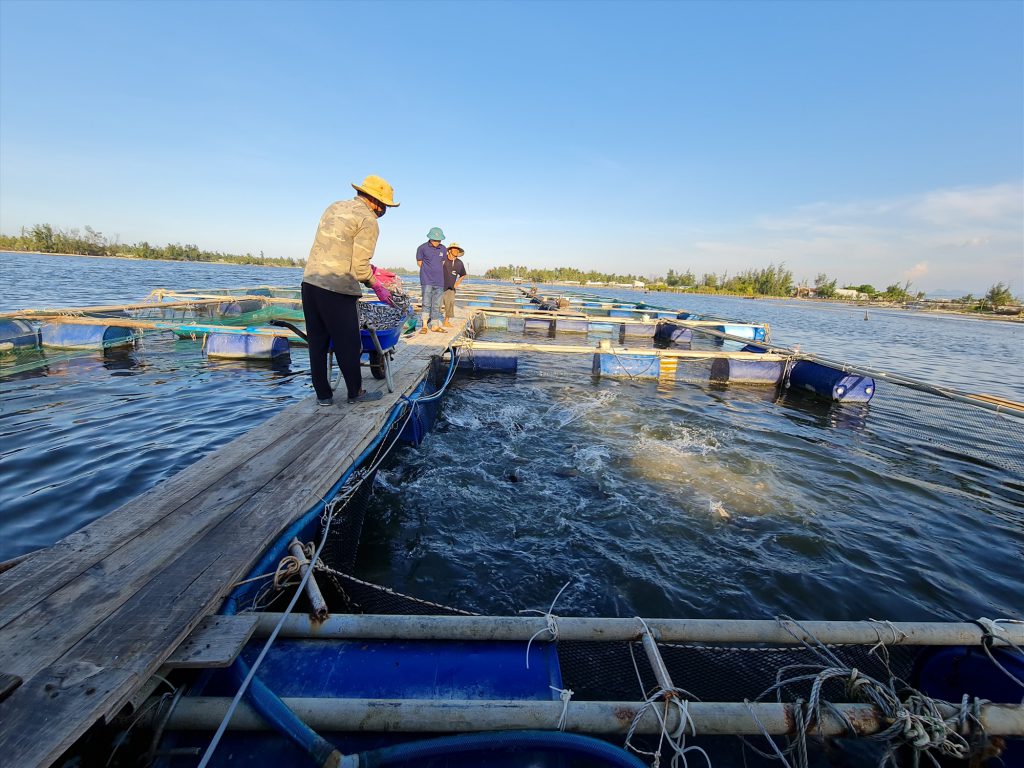 VietGAP trong thủy sản: Xây dựng như một tiêu chuẩn quốc tế - Ảnh 2.