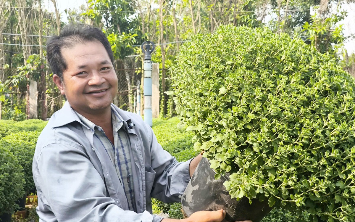 Con đặc sản đang nuôi thành công ở huyện này của Thái Bình, nhà nào nuôi đều giàu trông thấy - Ảnh 4.