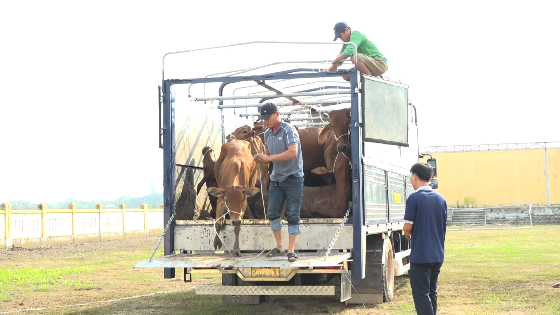 Tươi mới Hải Lăng - Ảnh 2.