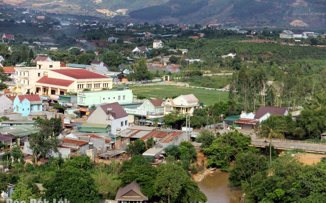 Rời phố, một giảng viên đại học bỏ nghề về Ninh Thuận chi 30 tỷ nuôi con đặc sản, trồng cây đặc sản - Ảnh 8.