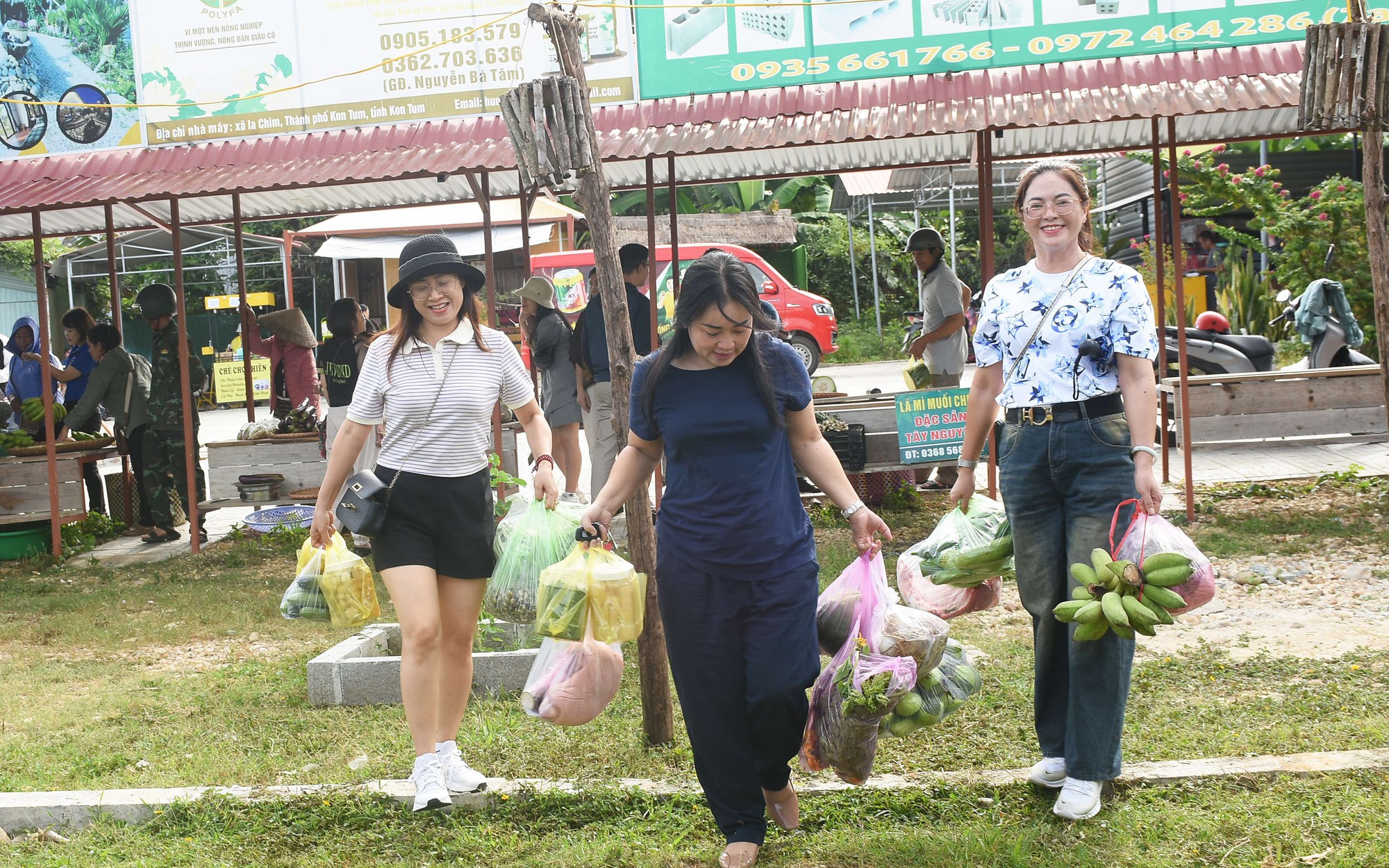 Cây dại trên rừng Đắk Lắk là cây trà hoa vàng mang về nhà trồng, hái hoa bán giá nhà giàu - Ảnh 11.