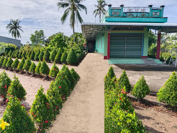 Hàng rào trồng hoa bông trang ở một xã nông thôn mới nâng cao của Cà Mau đẹp như phim thế này đây - Ảnh 3.