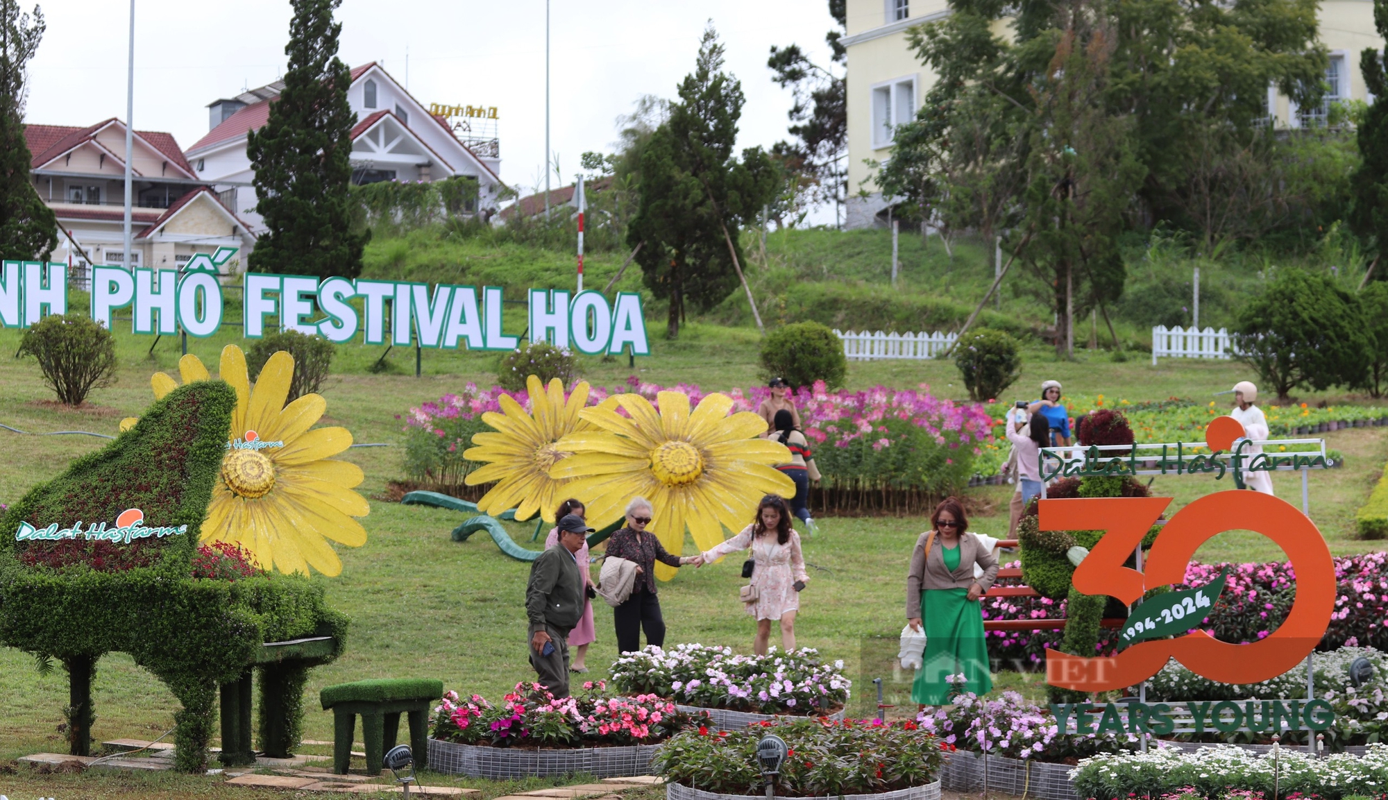 Khẩn trương "trang điểm" cho TP. Đà Lạt trước ngày khai mạc Festival hoa lần thứ X- Ảnh 1.