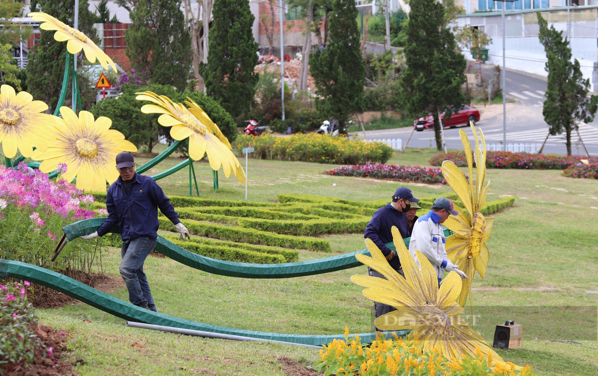 Khẩn trương "trang điểm" cho TP. Đà Lạt trước ngày khai mạc Festival hoa lần thứ X- Ảnh 4.