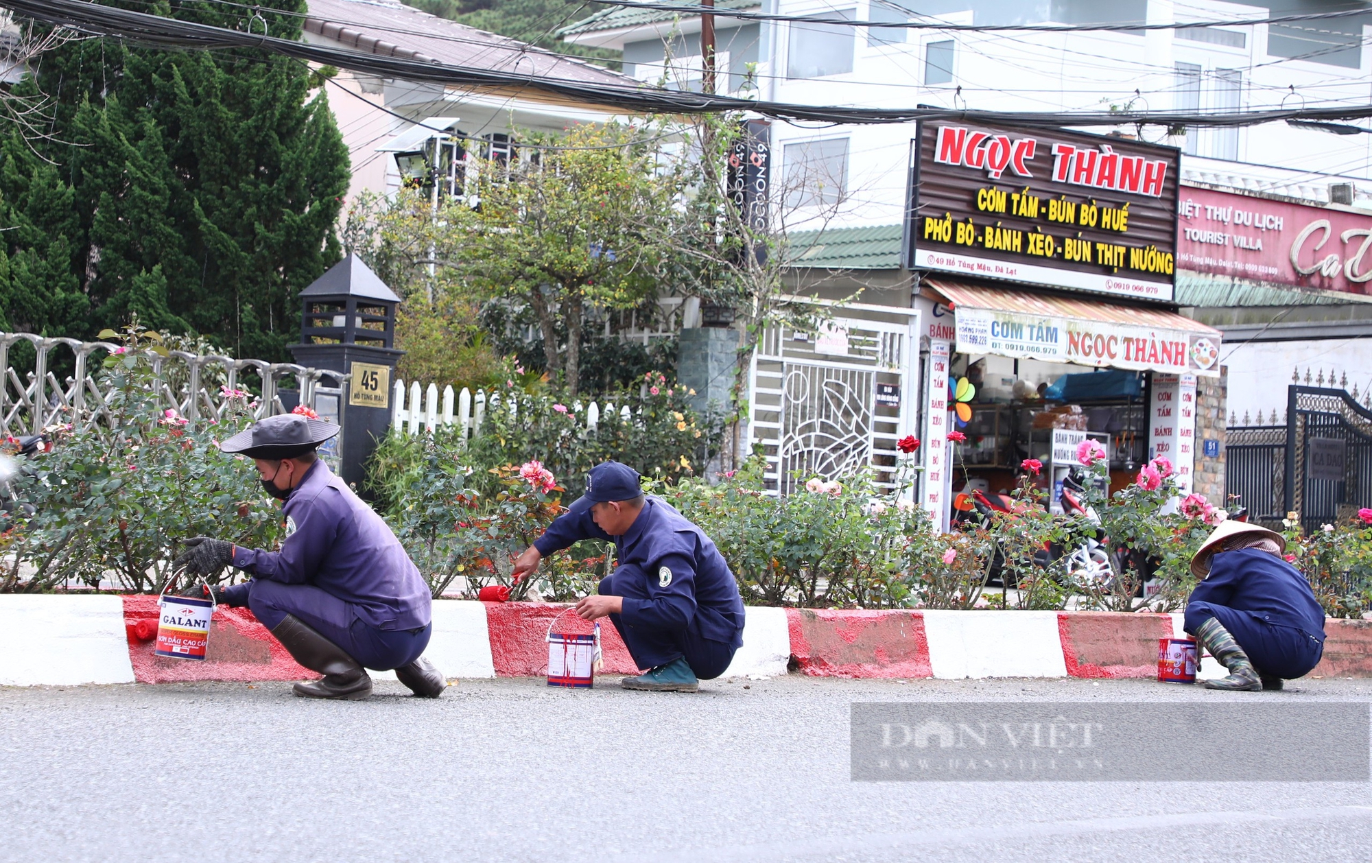 Khẩn trương "trang điểm" cho TP. Đà Lạt trước ngày khai mạc Festival hoa lần thứ X- Ảnh 5.