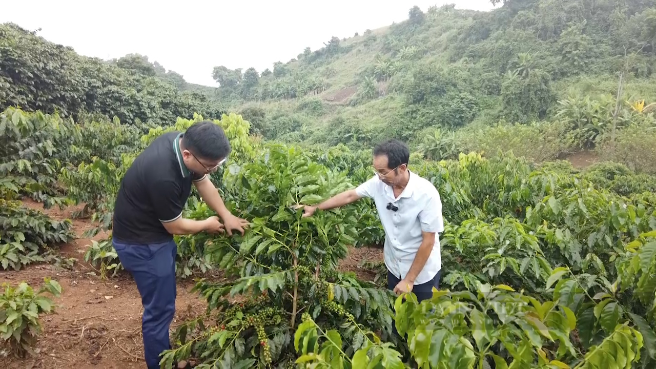 Ứng dụng kinh tế tuần hoàn trong nông nghiệp: HTX liên kết sản xuất nông nghiệp hữu cơ tuần hoàn không chất thải (Bài 1) - Ảnh 5.