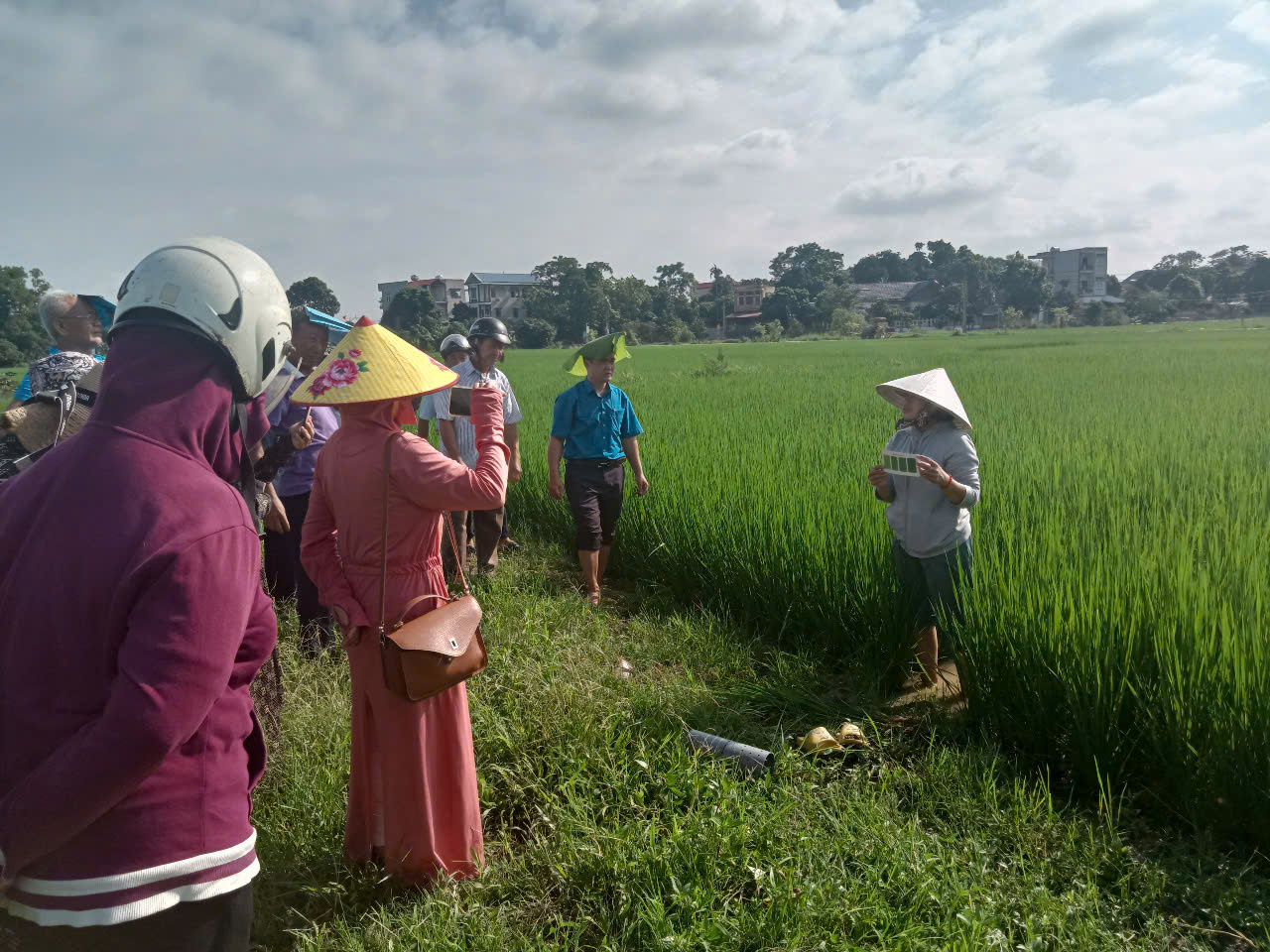 Nữ nông dân giỏi canh tác lúa thân thiện với môi trường kéo cả làng cùng làm theo ở Bắc Giang - Ảnh 1.