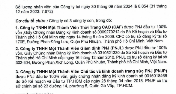 PNJ bảo lãnh khoản vay cho PNJP và Thời trang CAO - Ảnh 1.