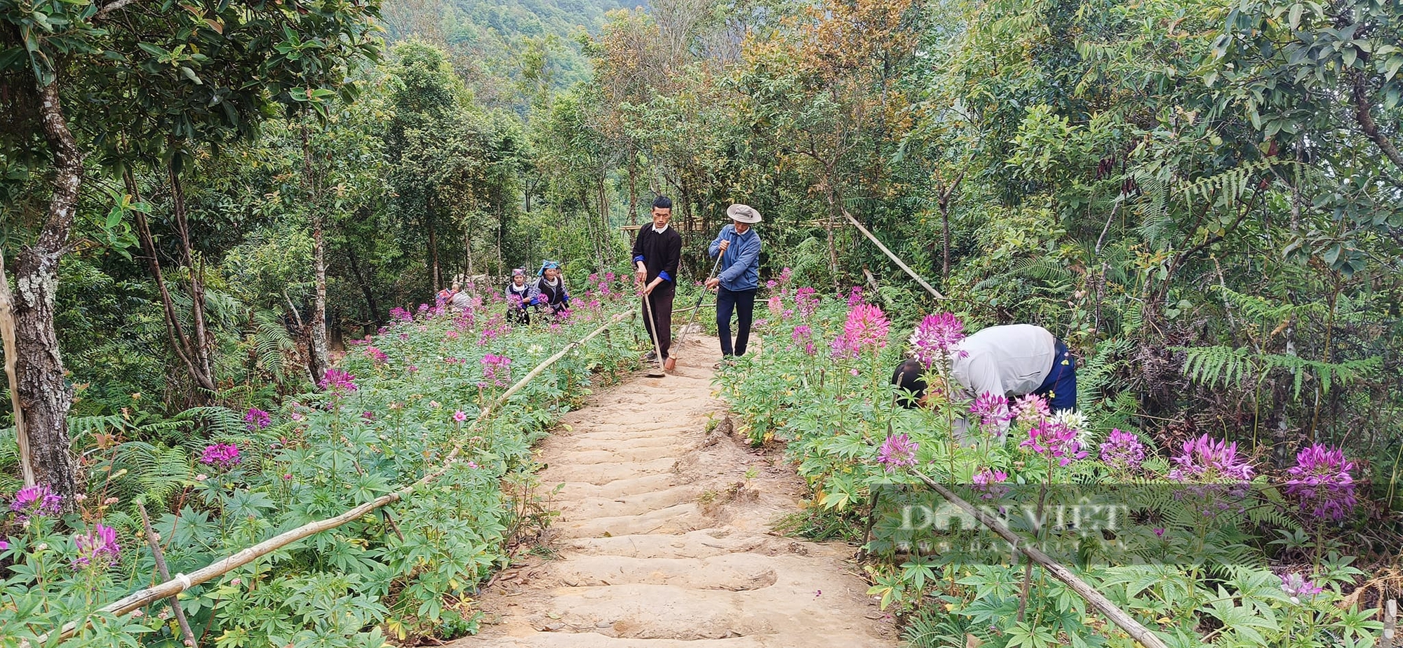 Sống lưng khủng long Dế Xu Phình có gì mà hút khách du lịch sau mùa lúa chín- Ảnh 1.