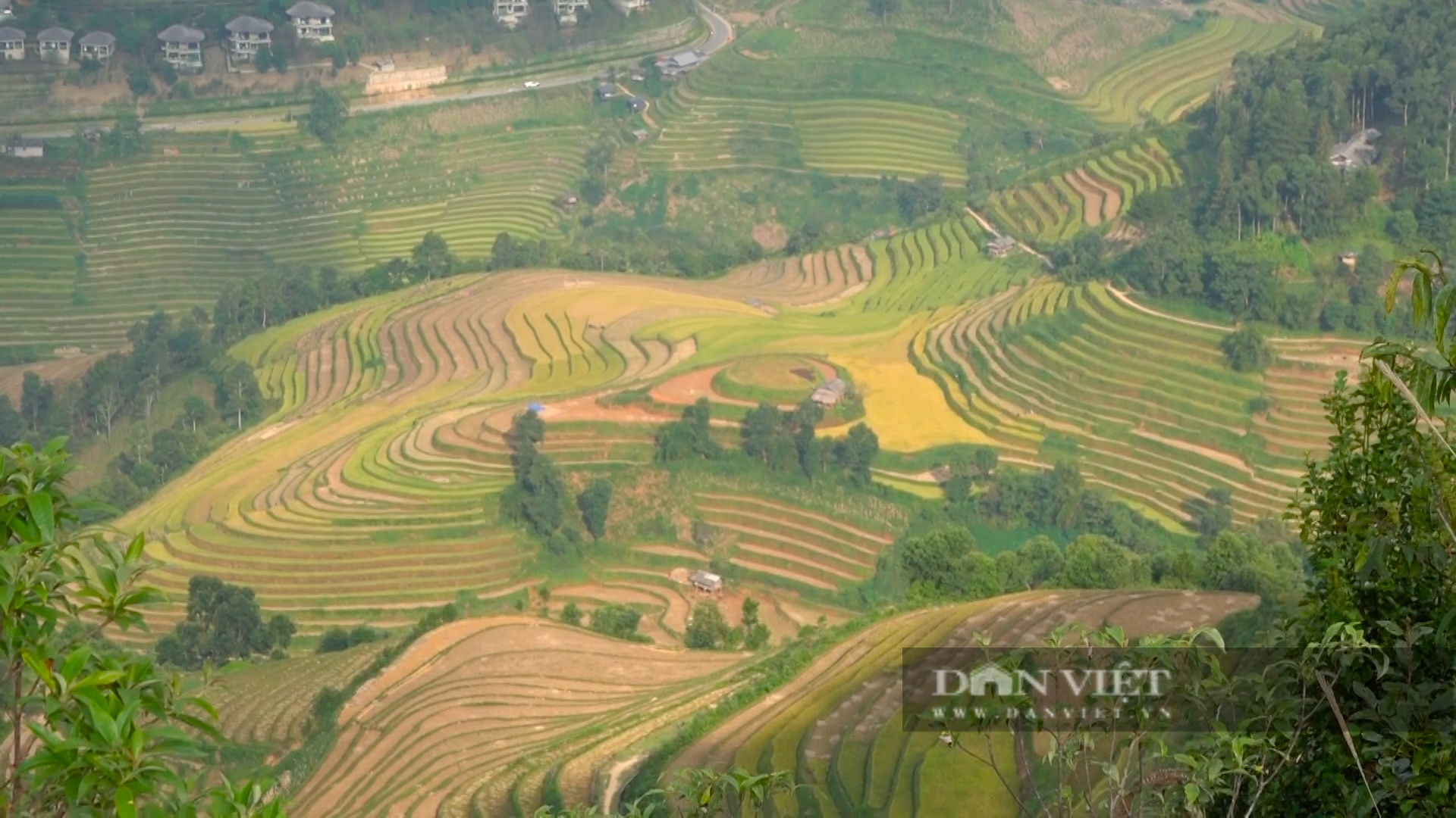 Sống lưng khủng long Dế Xu Phình có gì mà hút khách du lịch sau mùa lúa chín- Ảnh 4.