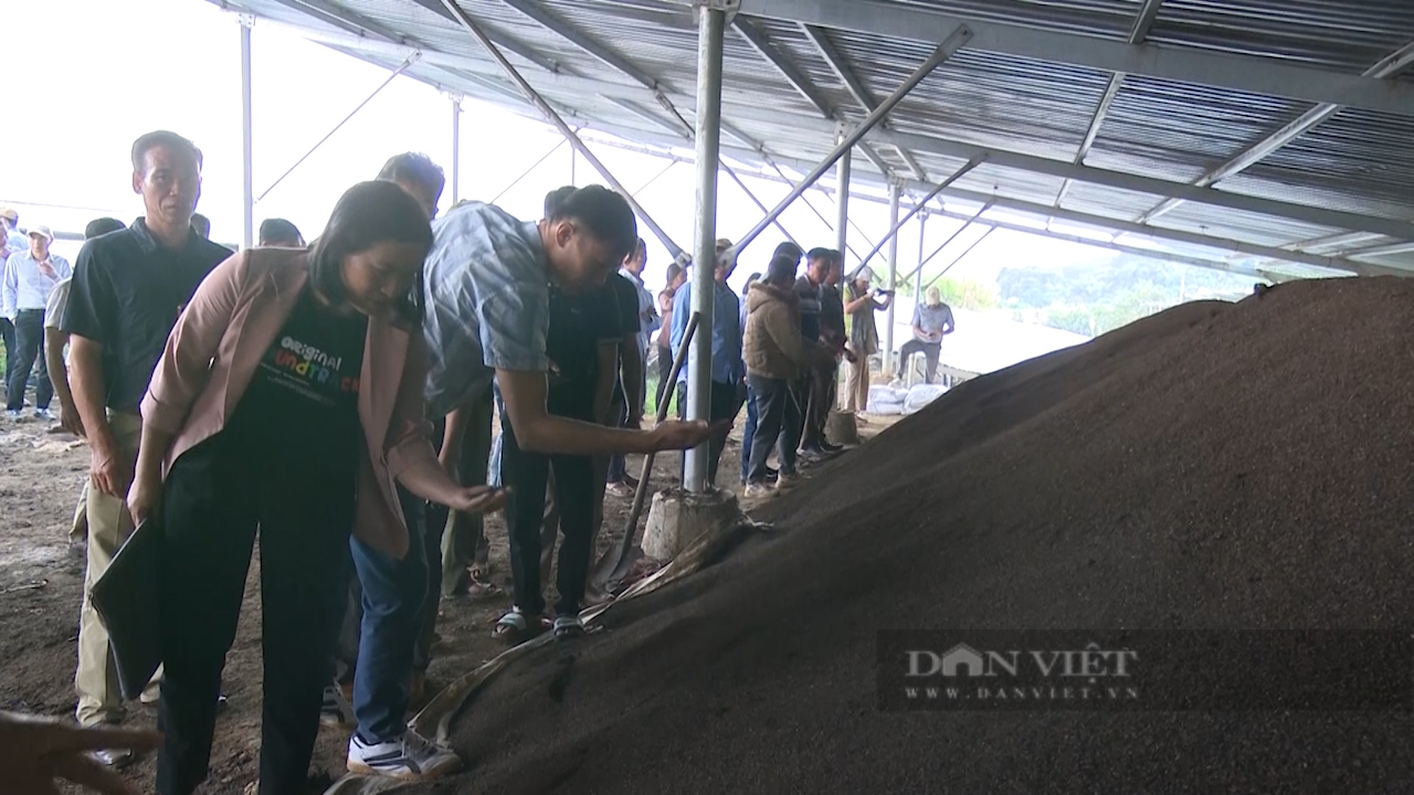 Ứng dụng kinh tế tuần hoàn trong nông nghiệp: HTX liên kết sản xuất nông nghiệp hữu cơ tuần hoàn không chất thải (Bài 1) - Ảnh 1.