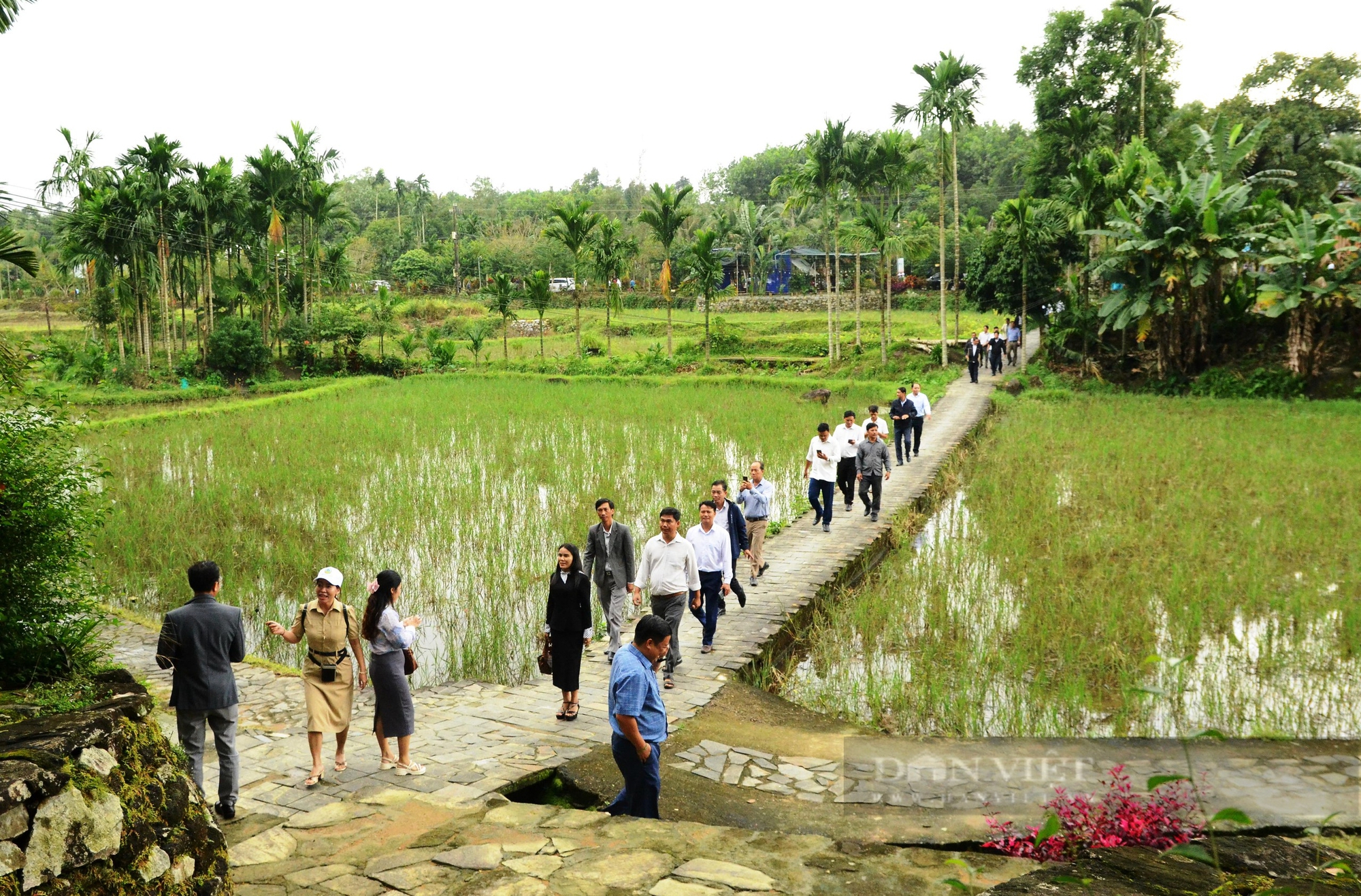 Làng có nhà cổ đến 150 năm tuổi ở Quảng Nam được chọn làm điểm xây dựng khu dân cư NTM kiểu mẫu - Ảnh 5.