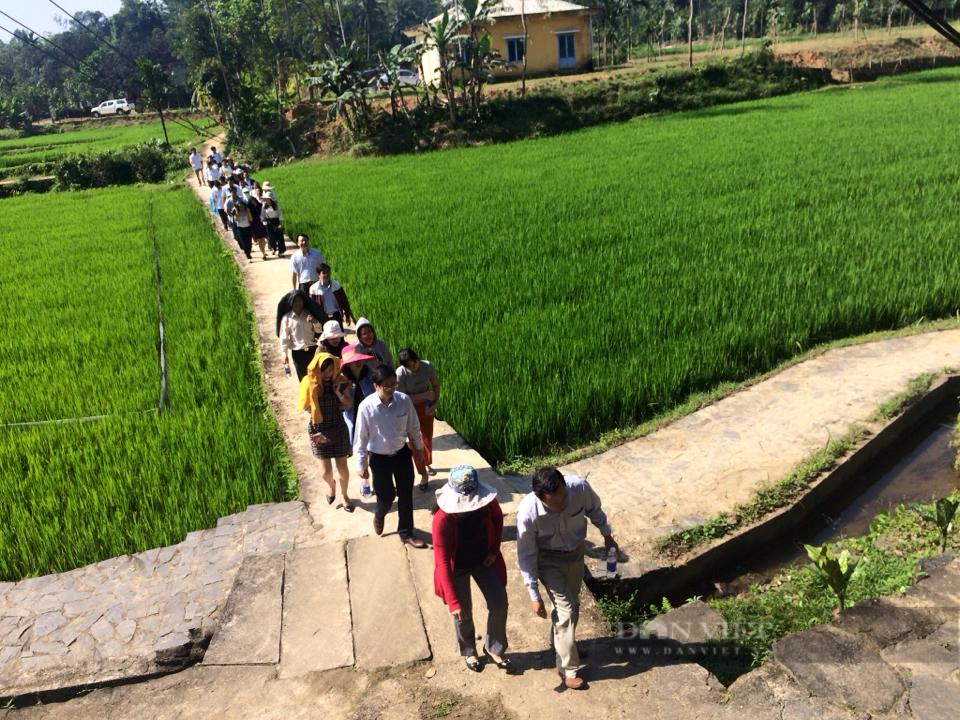 Làng có nhà cổ đến 150 năm tuổi ở Quảng Nam được chọn làm điểm xây dựng khu dân cư NTM kiểu mẫu - Ảnh 4.