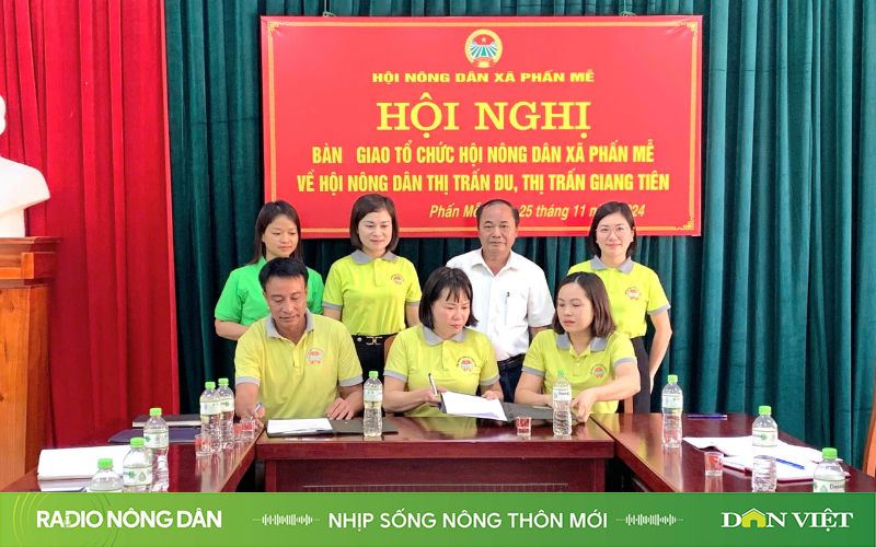 Nhịp sống nông thôn mới ngày 29/11/2024 - Ảnh 1.