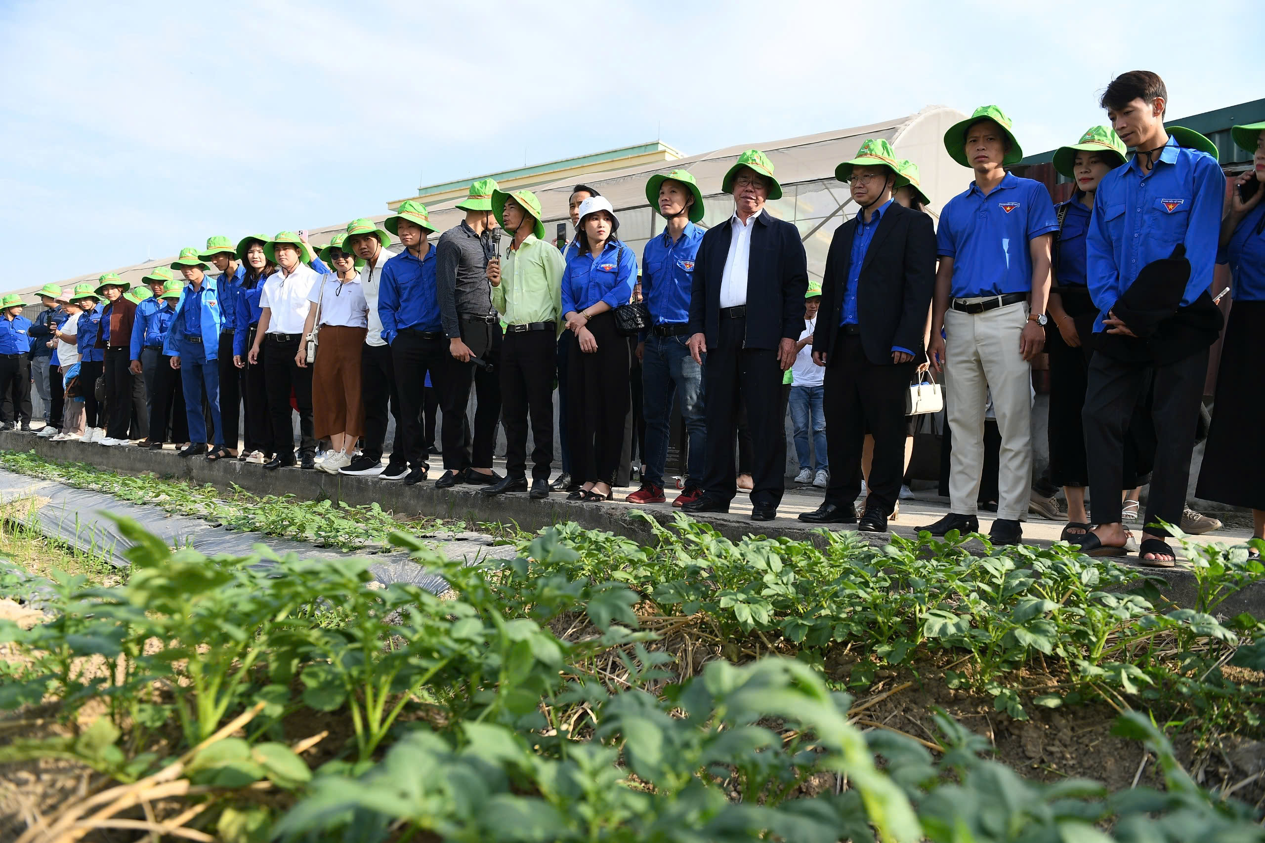 Các "siêu" thanh niên ấn tượng với công nghệ ươm tạo cây trồng mới ở ThaiBinh Seed - Ảnh 1.