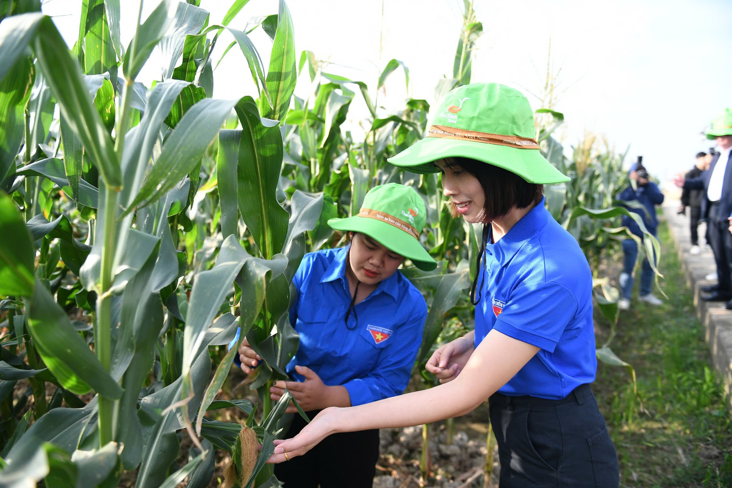 Các "siêu" thanh niên ấn tượng với công nghệ ươm tạo cây trồng mới ở ThaiBinh Seed - Ảnh 2.