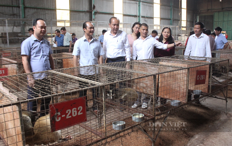 Trung ương Hội Nông dân Việt Nam trao sinh kế cho hội viên, nông dân khó khăn ở Đồng Nai- Ảnh 6.