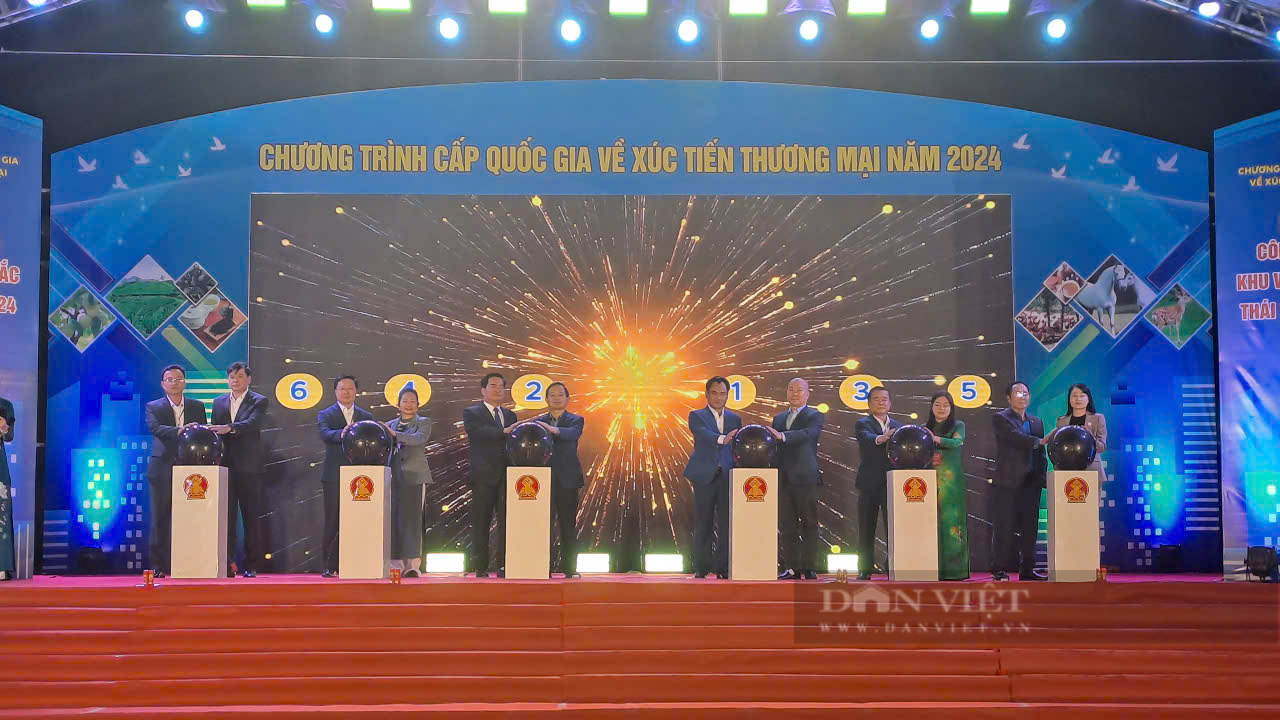 Lần đầu tiên Hội chợ xúc tiến thương mại có quy mô lớn nhất được tổ chức tại Thái Nguyên - Ảnh 6.