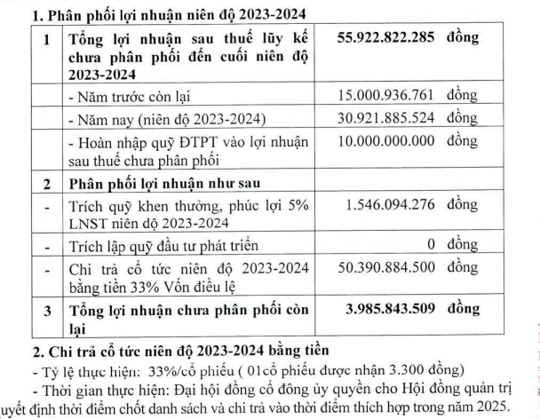 Doanh nghiệp kinh doanh vàng mã duy nhất trên sàn chứng khoán  - Ảnh 2.