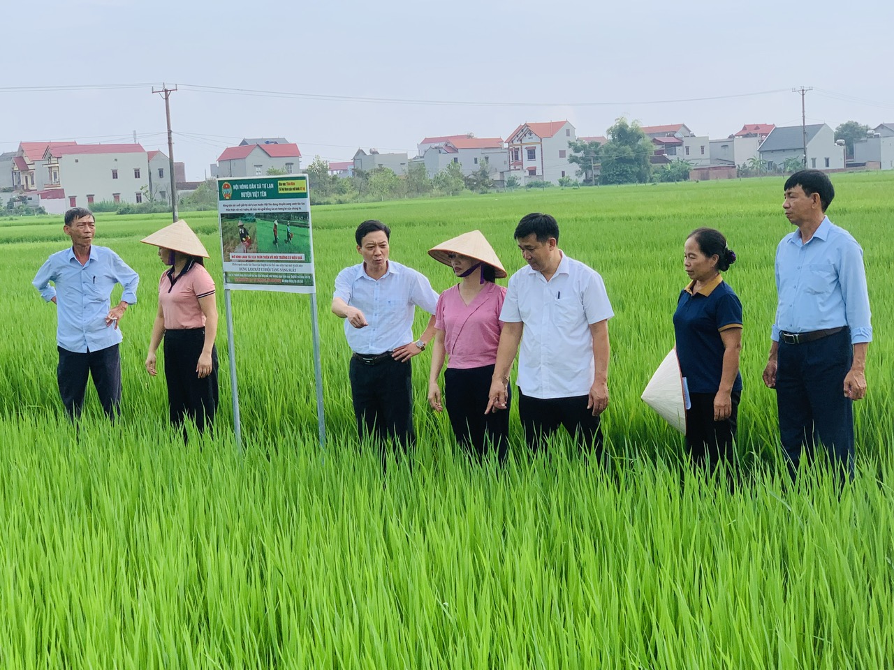 Nông dân thị xã Việt Yên, tỉnh Bắc Giang thay đổi nhận thức khi tham gia canh tác lúa thân thiện với môi trường - Ảnh 3.