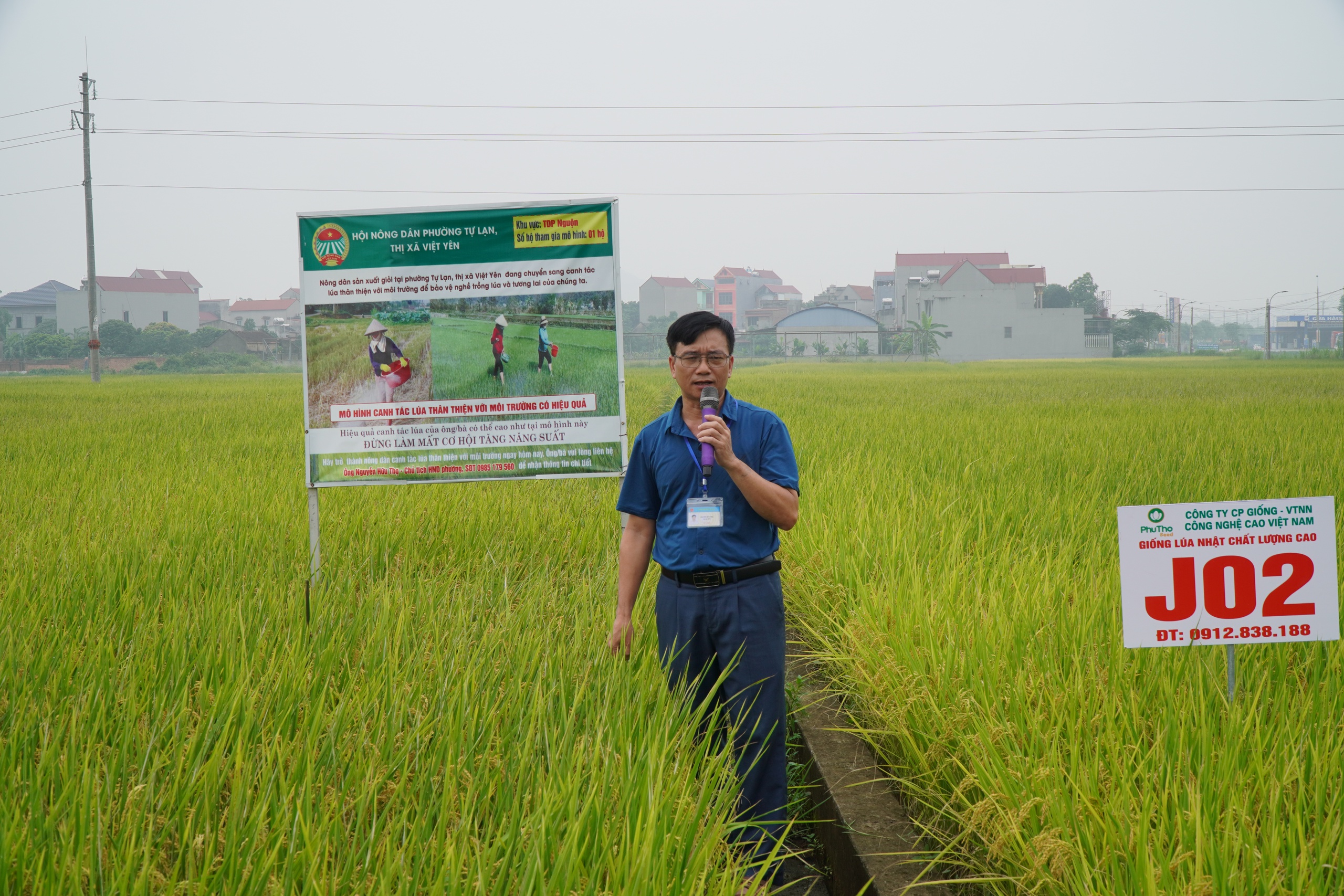 Nông dân thị xã Việt Yên, tỉnh Bắc Giang thay đổi nhận thức khi tham gia canh tác lúa thân thiện với môi trường - Ảnh 2.