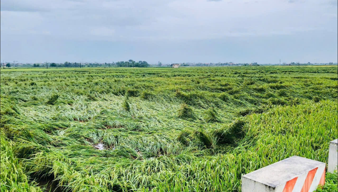 Những nhiệm vụ "nóng" đón chờ tân Bộ trưởng Bộ Tài chính Nguyễn Văn Thắng- Ảnh 2.