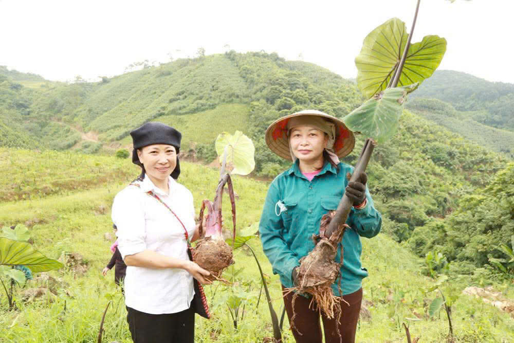 Bát Xát: Gỡ khó trong xây dựng nông thôn mới ở vùng biên Cốc Mỳ - Ảnh 3.