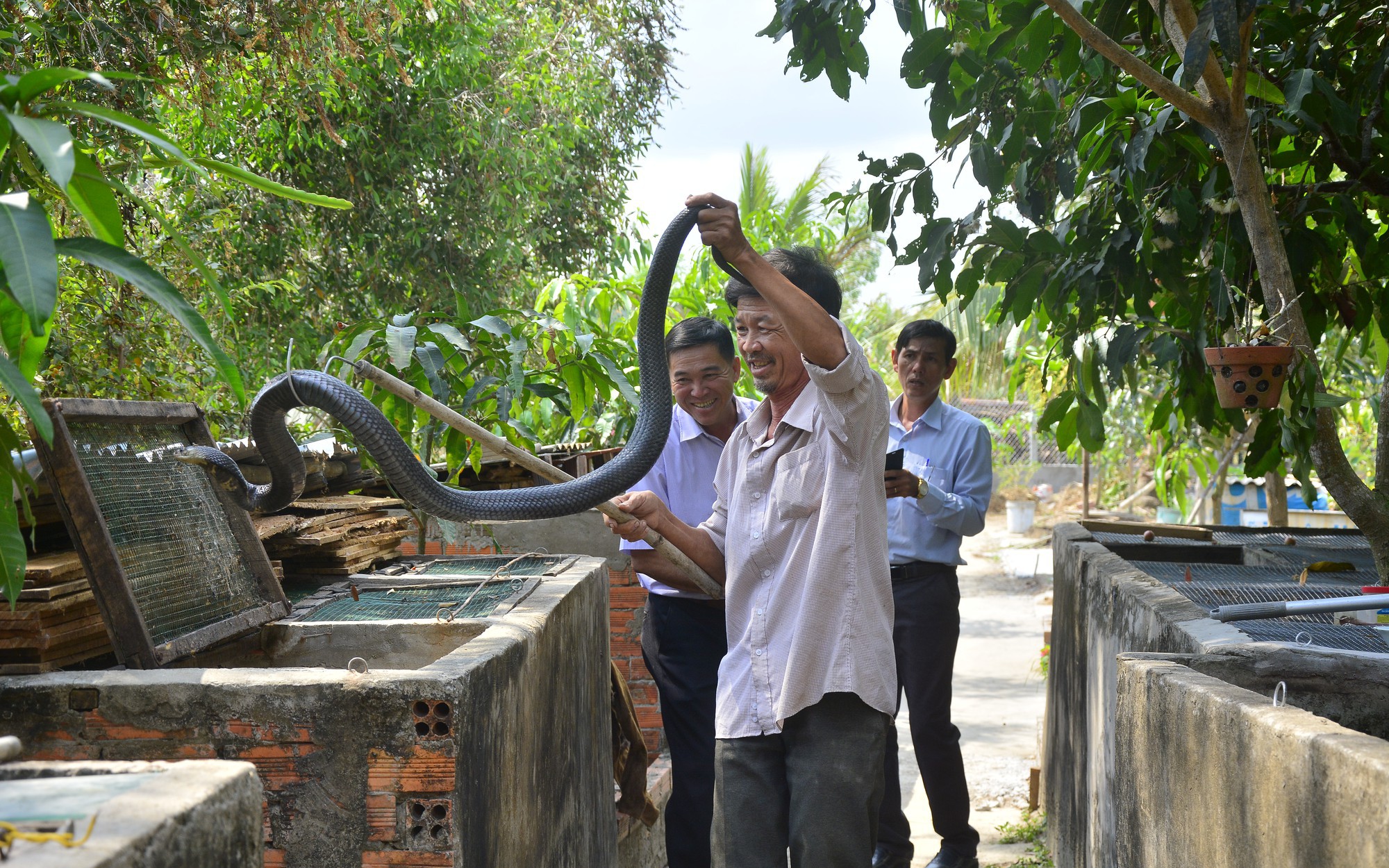 Hồ nước ngọt đẹp như phim ở Bình Định, nuôi cá đặc sản, cá điêu hồng kiểu gì mà bán sang Nhật Bản? - Ảnh 6.