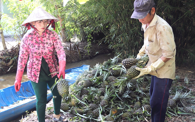 Thái Bình ban hành nhiều cơ chế, chính sách hỗ trợ nông dân, giữ "kho báu" ngoài đồng ruộng - Ảnh 4.