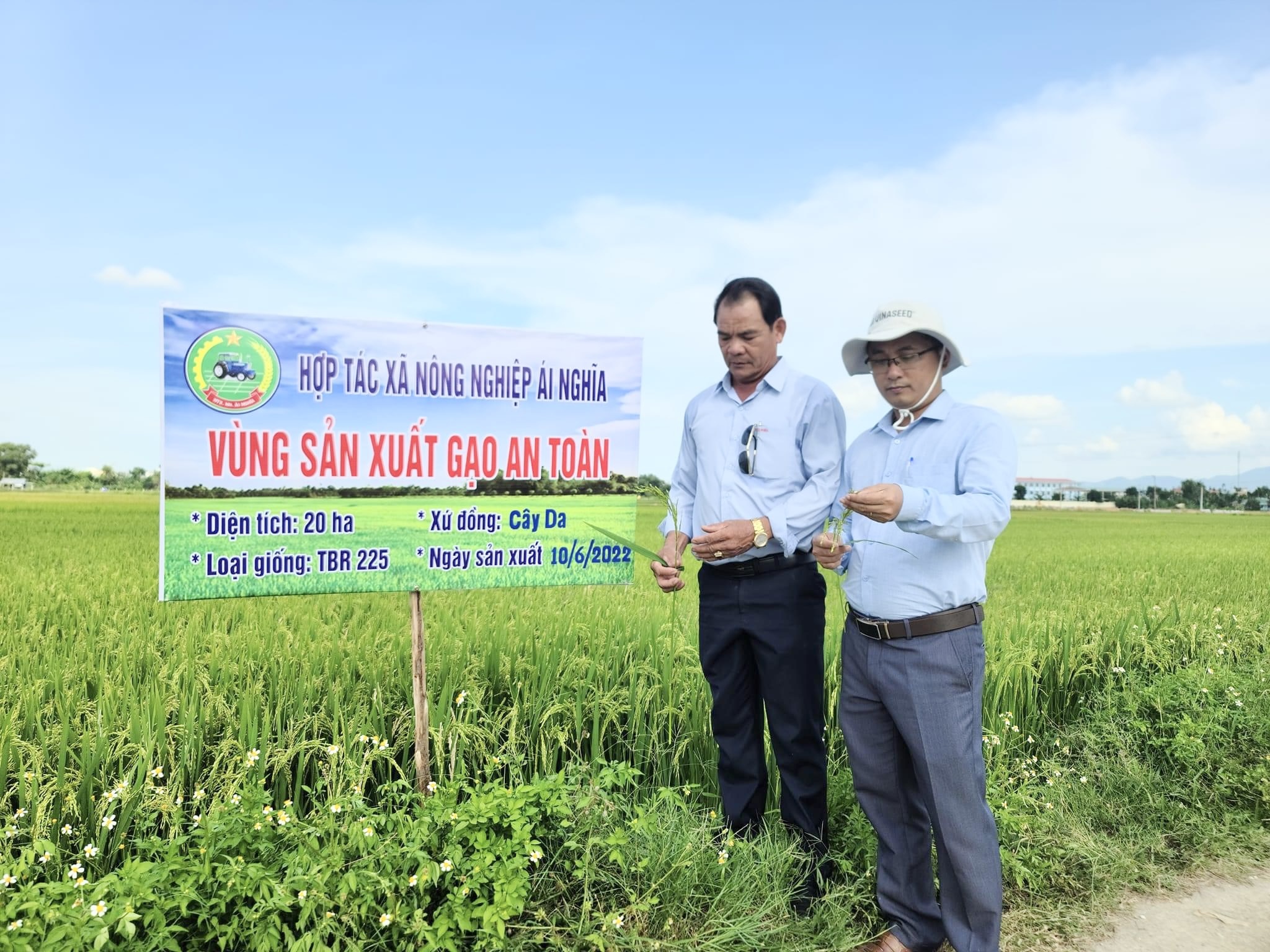 Quảng Nam: Đẩy mạnh liên kết sản xuất theo chuỗi giá trị, huyện Đại Lộc phát triển kinh tế tập thể bền vững - Ảnh 9.