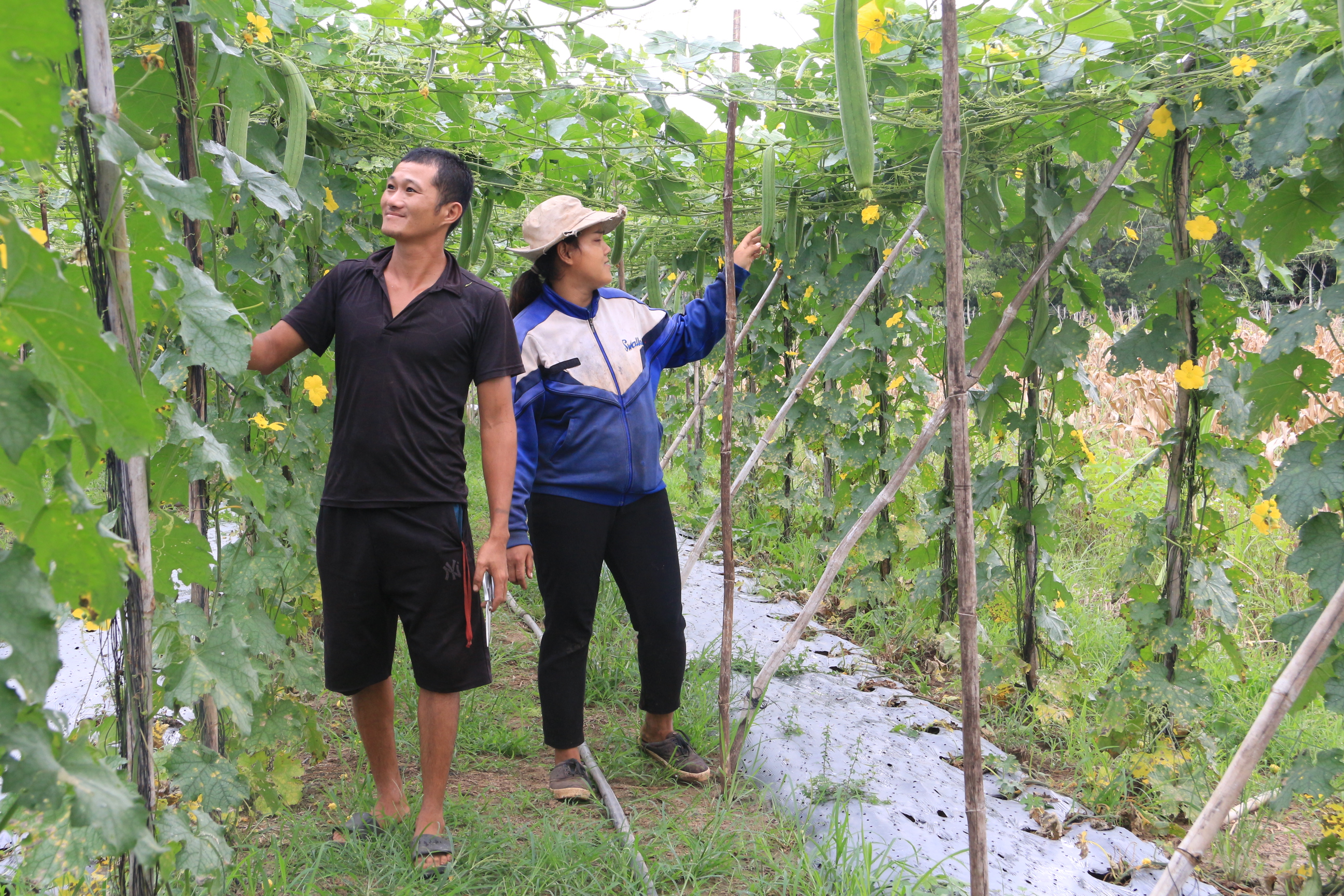 Biến thứ bỏ đi thành sản phẩm thời trang xuất khẩu, doanh nghiệp thu tiền tỷ mỗi năm, nhiều nông dân vươn lên làm giàu - Ảnh 2.