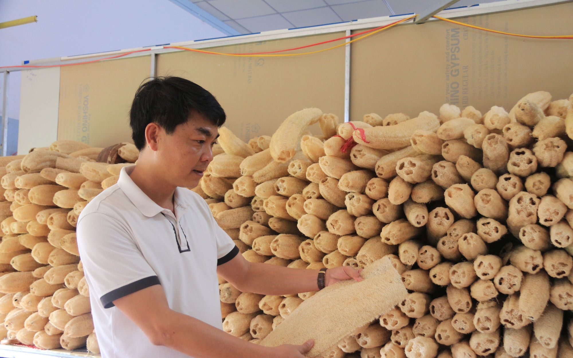 Thái Bình ban hành nhiều cơ chế, chính sách hỗ trợ nông dân, giữ "kho báu" ngoài đồng ruộng - Ảnh 1.