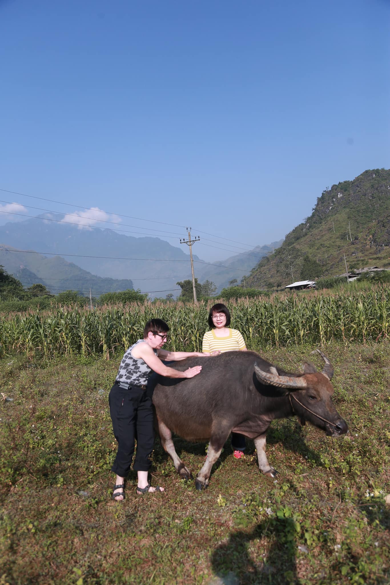 Khách tây thích thú chăn trâu ở Hà Giang  - Ảnh 2.