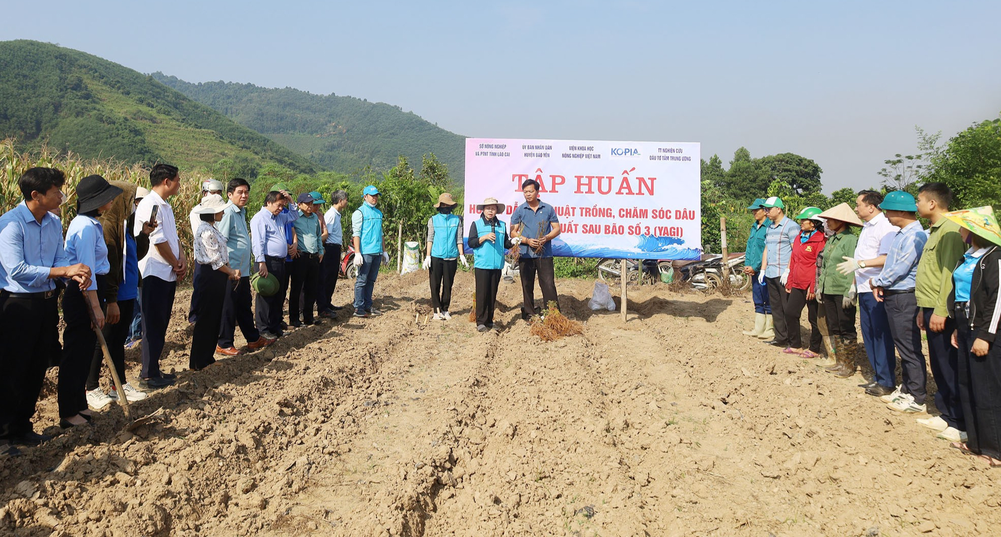 Trao hàng trăm nghìn cây dâu giống hỗ trợ nông dân vùng lũ Lào Cai khôi phục sản xuất- Ảnh 2.