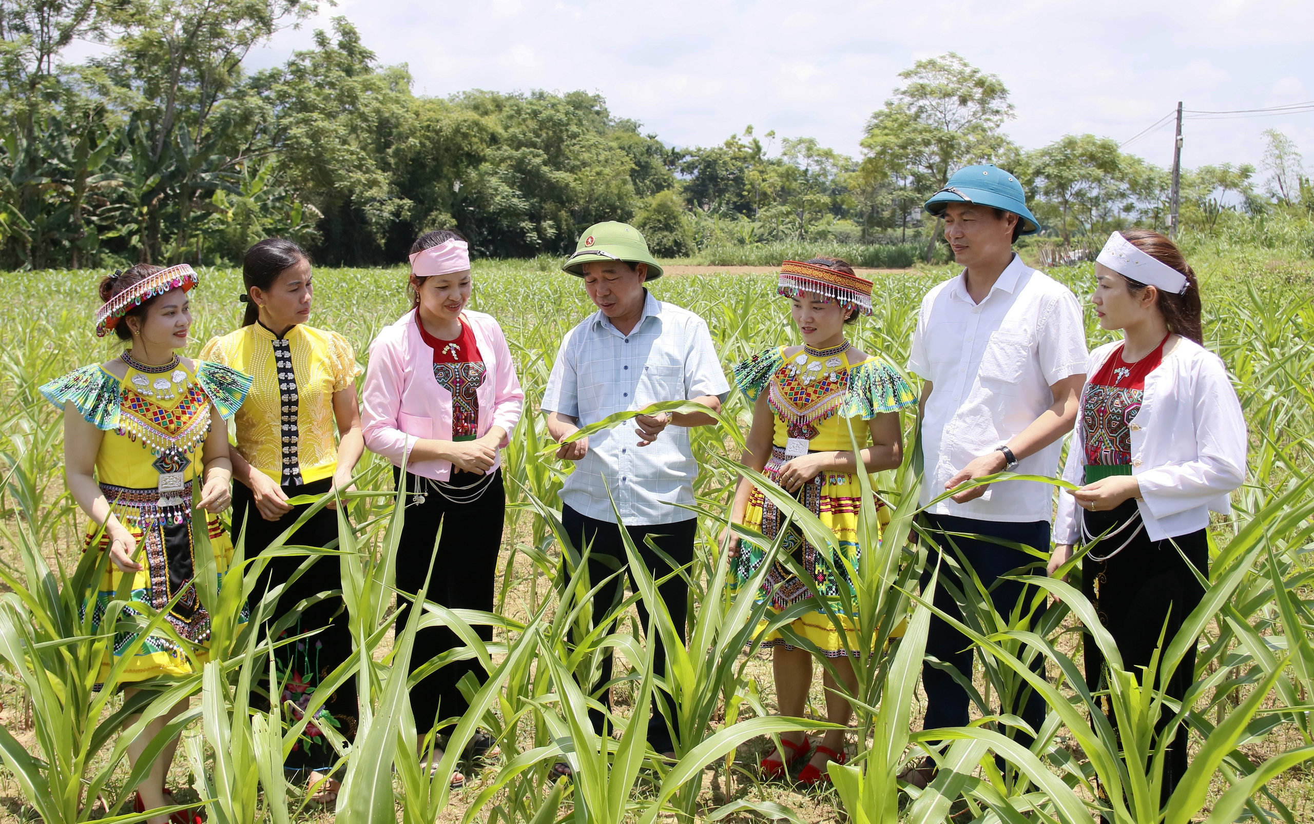 Phú Thọ giải ngân hơn 560 tỷ đồng vốn chương trình mục tiêu quốc gia giảm nghèo - Ảnh 1.