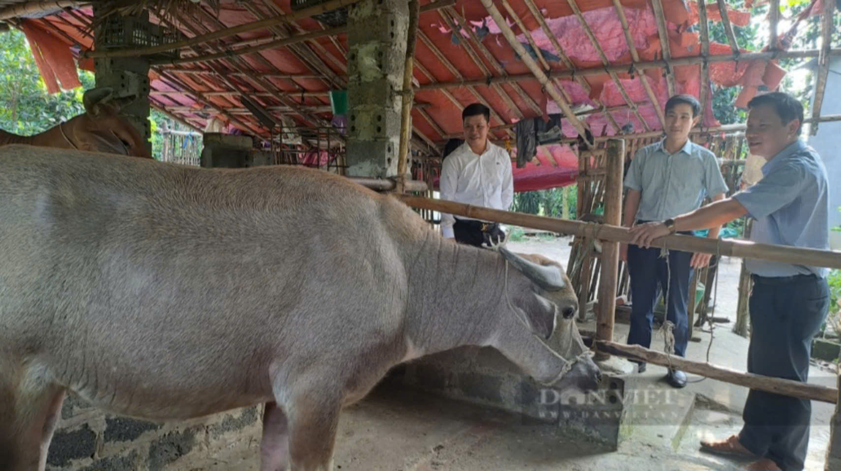 Thái Nguyên phân bổ gần 17 tỷ đồng để hỗ trợ sản xuất thuộc các dự án giảm nghèo trong năm 2024 - Ảnh 2.