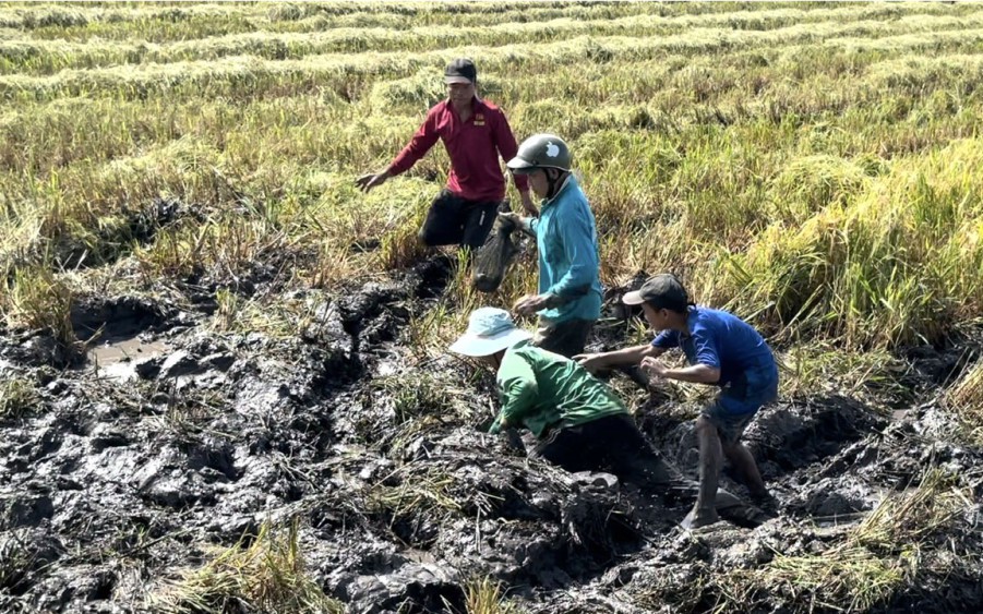 Hồ nước ngọt đẹp như phim ở Bình Định, nuôi cá đặc sản, cá điêu hồng kiểu gì mà bán sang Nhật Bản? - Ảnh 1.