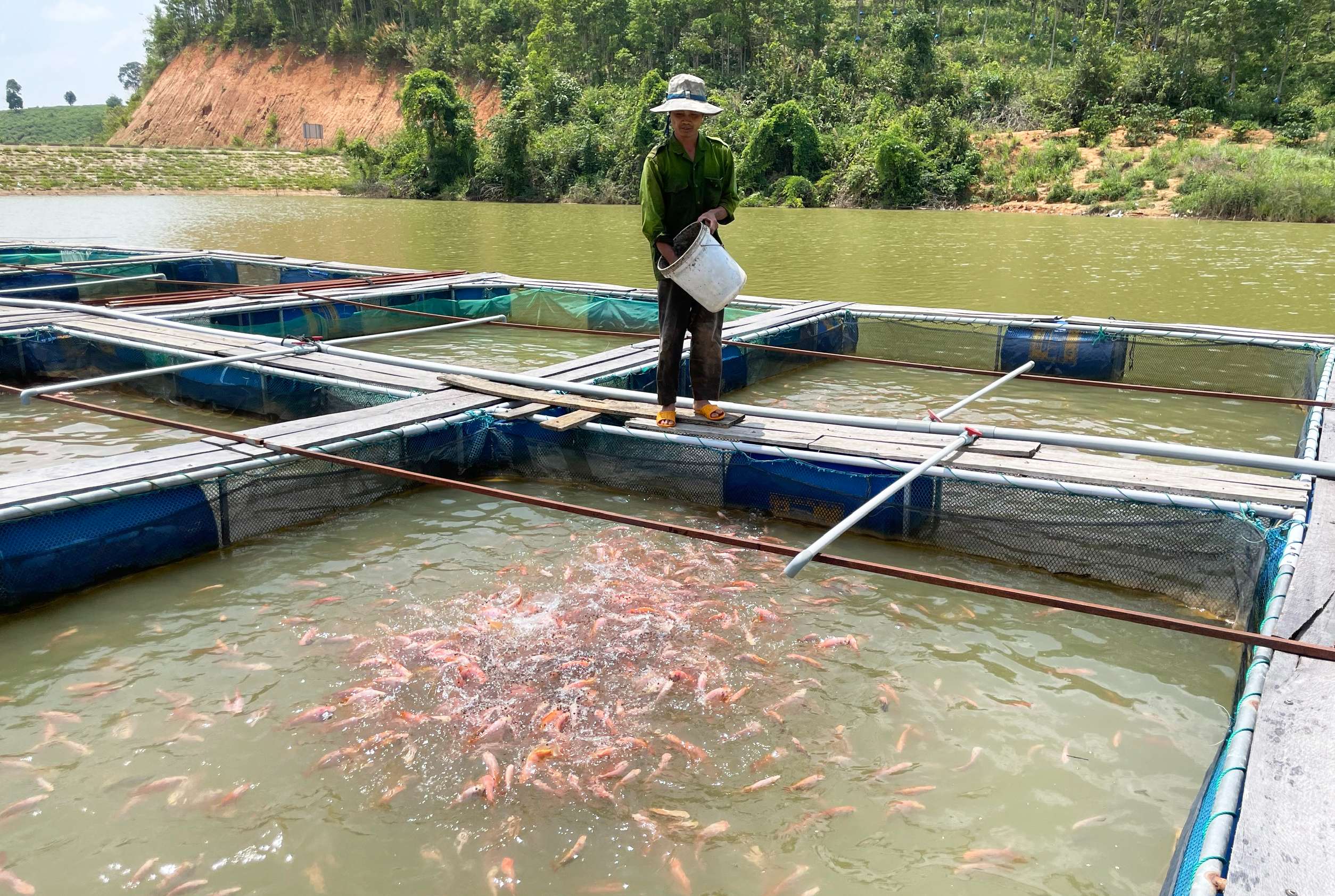 Tăng cường quản lý an toàn thực phẩm thủy sản: Càng khó càng phải quyết liệt - Ảnh 4.