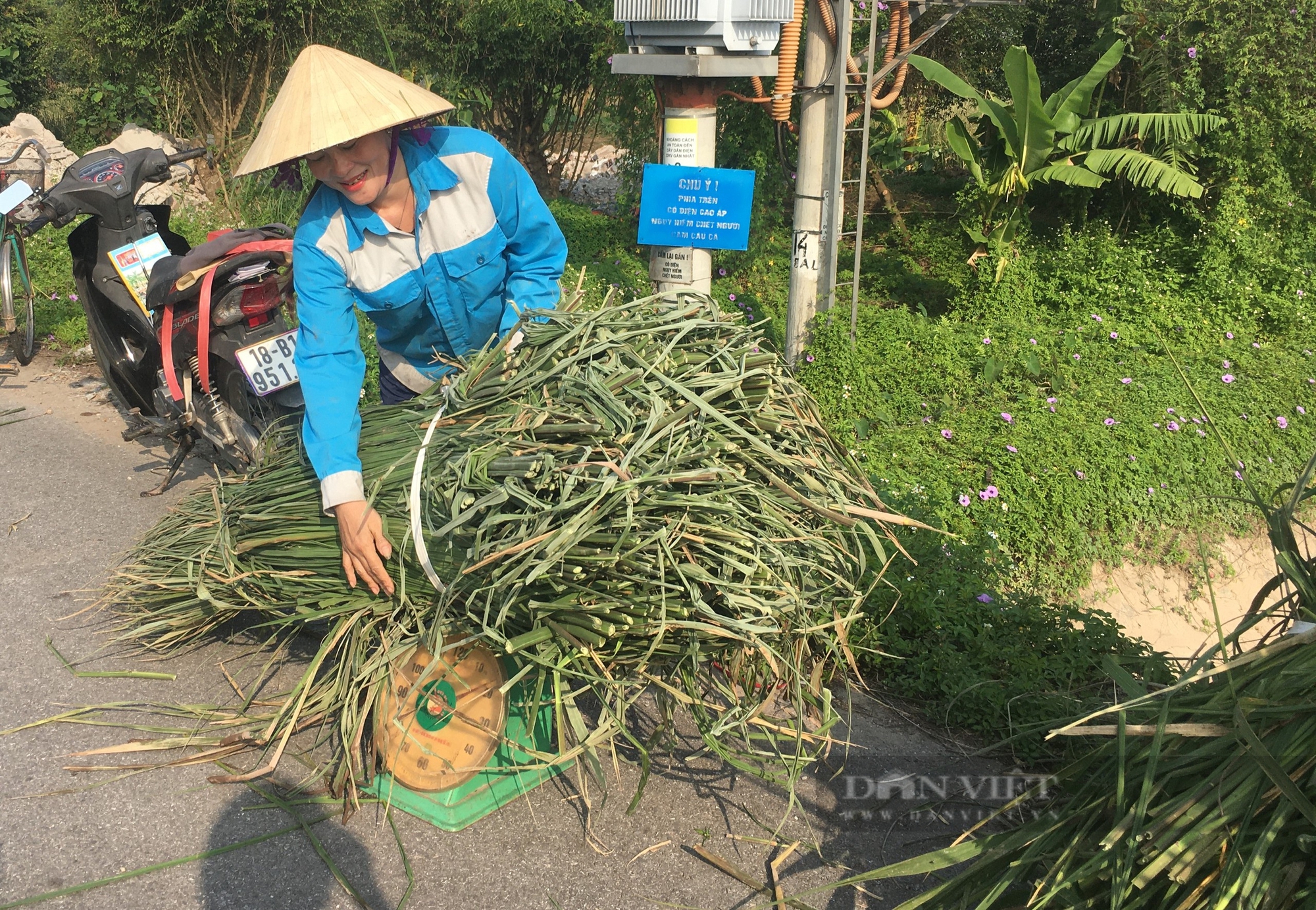 Củ niễng - đặc sản của tỉnh Nam Định ăn ngon cỡ nào, mà khách hàng khắp nơi tìm mua? - Ảnh 4.