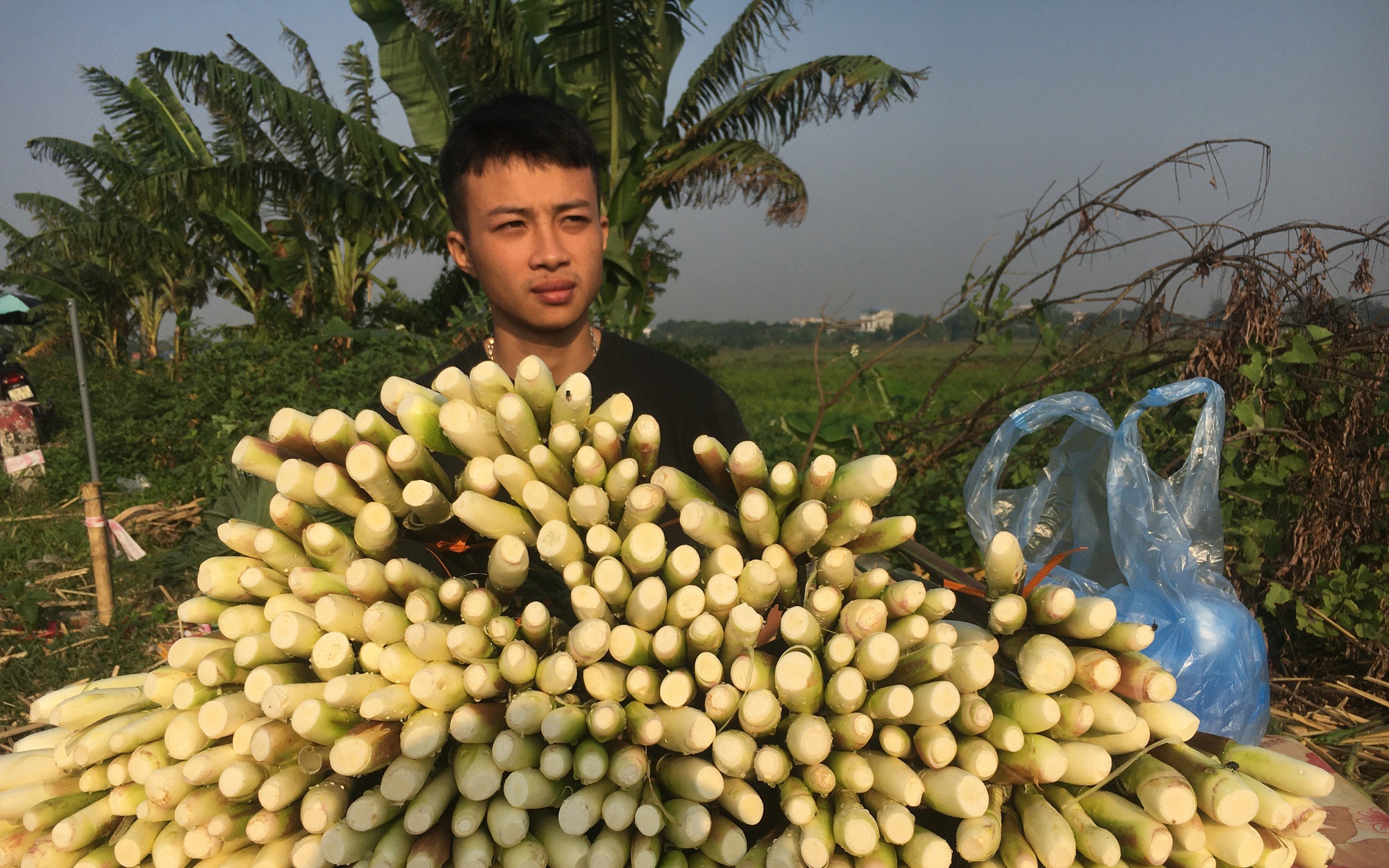 Nuôi rắn ri voi, loài động vật dễ nổi giận, ông nông dân Hậu Giang bán 400.000 đồng/kg - Ảnh 2.