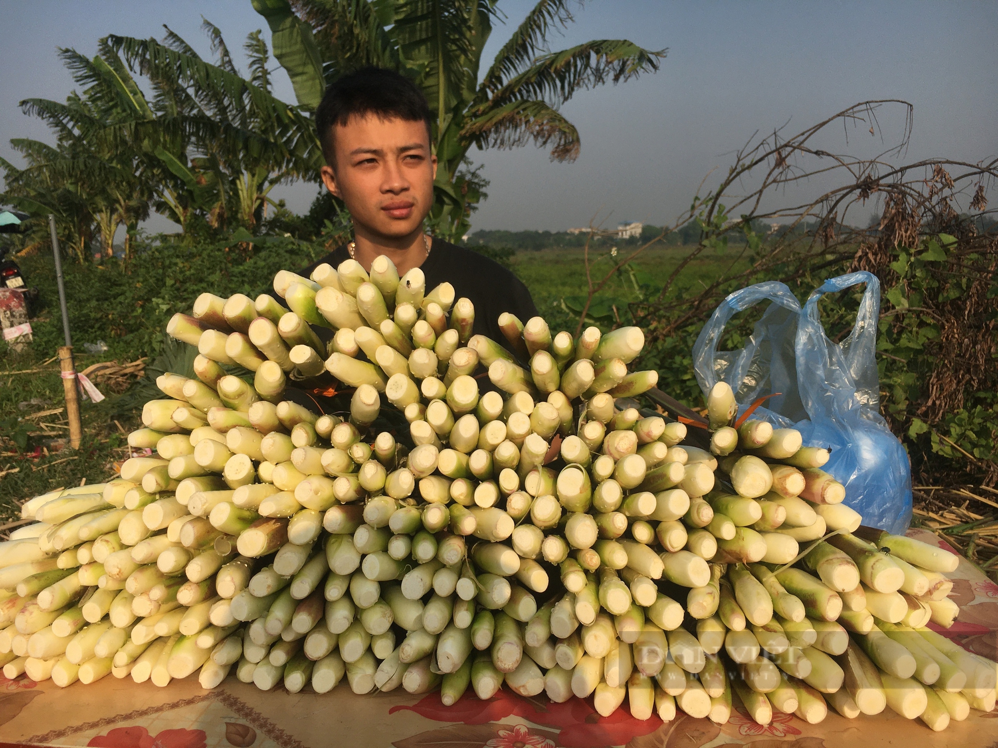 Củ niễng - đặc sản của tỉnh Nam Định ăn ngon cỡ nào, mà khách hàng khắp nơi tìm mua? - Ảnh 1.