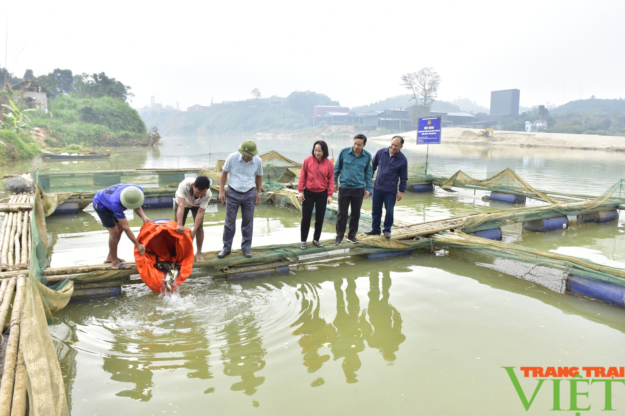 Hỗ trợ hơn 1 tấn cá giống cho bà con vùng lũ Lào Cai khôi phục sản xuất- Ảnh 1.