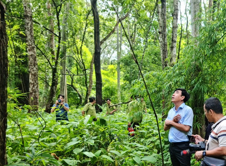 Mới: điều kiện chuyển mục đích sử dụng đất trồng lúa, đất rừng sang mục đích đầu tư ở Bình Thuận- Ảnh 4.