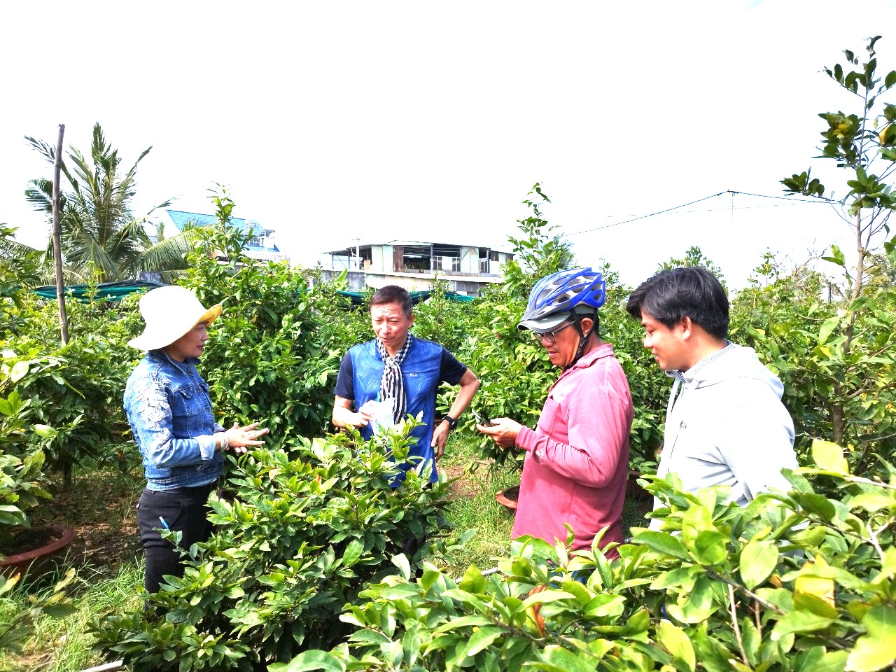 Tại sao TP.HCM quyết tâm phát triển du lịch làng nghề? - Ảnh 1.