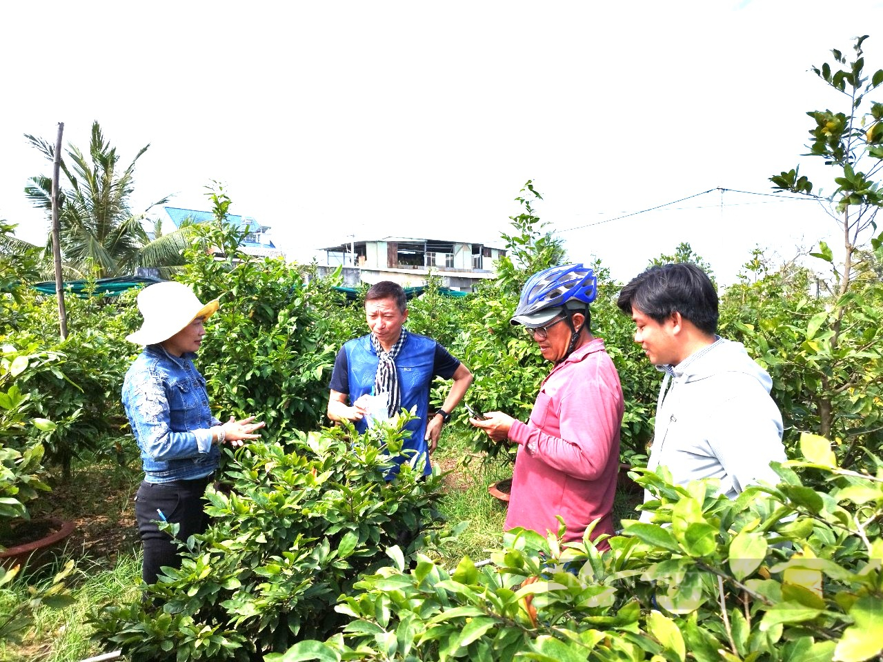 Nông dân hưởng lợi lớn với du lịch nông nghiệp gắn xây dựng nông thôn mới - Ảnh 1.