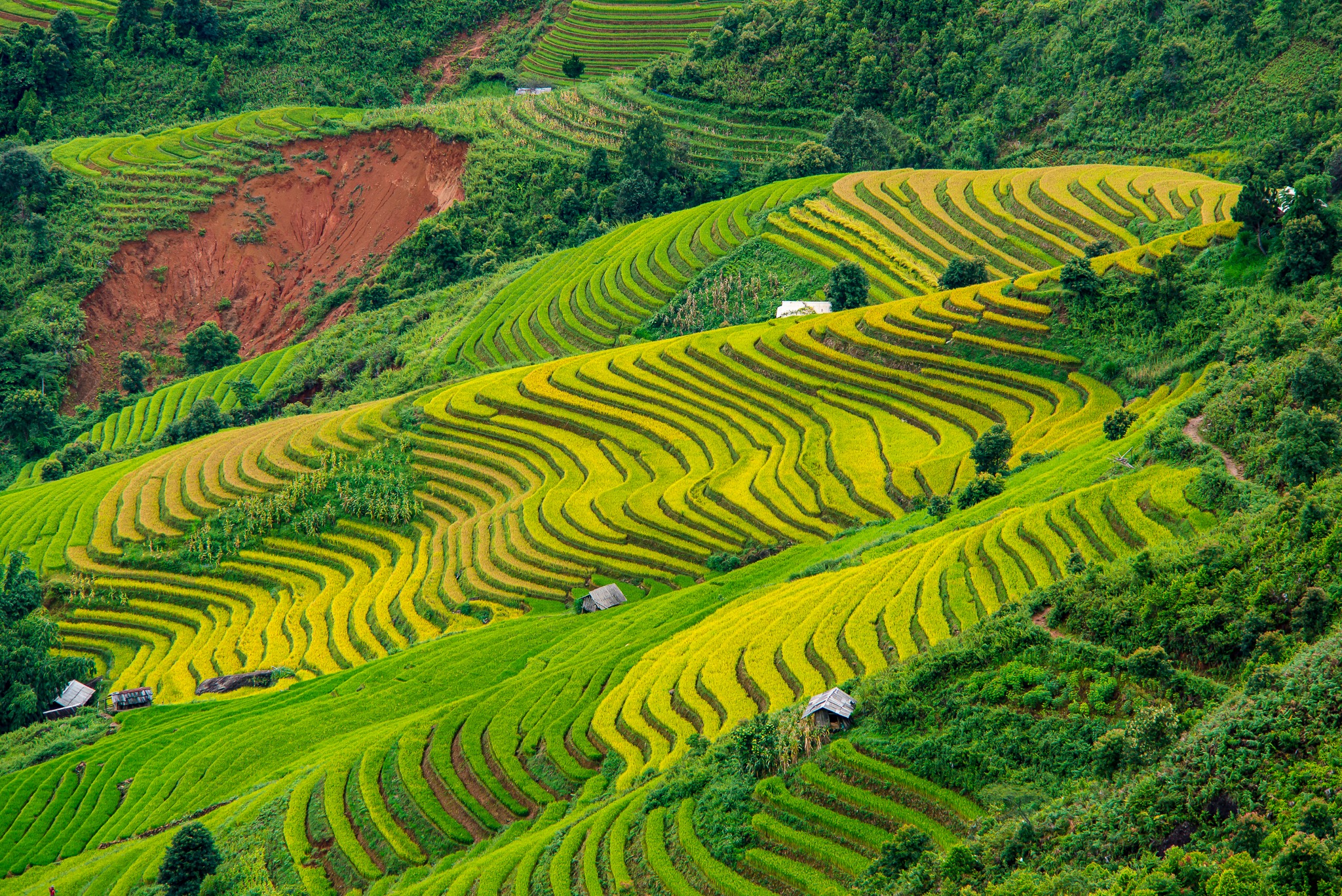 Sơn La: Đổi thay ở bản Mông vùng cao Bắc Yên - Ảnh 6.