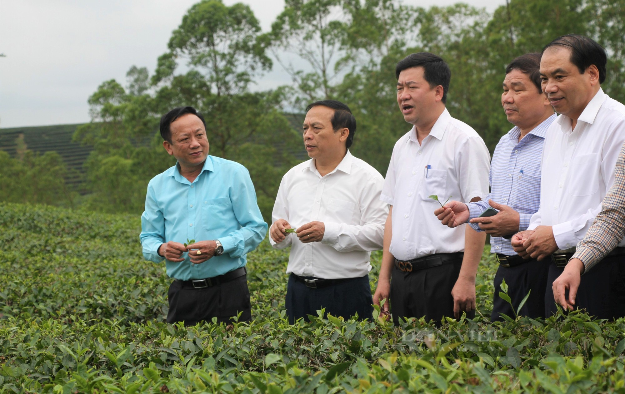 Nông dân Nghệ An đóng góp tích cực vào phong trào toàn dân bảo vệ an ninh Tổ quốc - Ảnh 3.