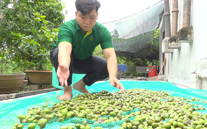 Con dúi mốc, heo rừng, 2 con động vật hoang dã mới lạ nuôi ở Trà Vinh, dúi thịt bán 800.000 đồng/kg - Ảnh 4.