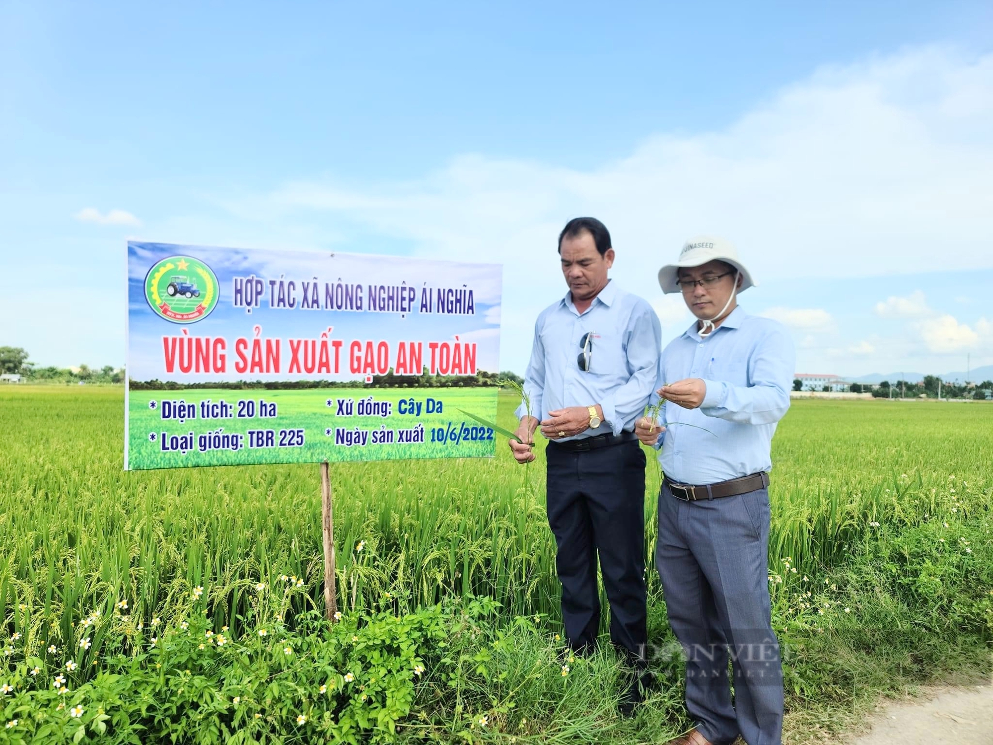 Quảng Nam: Phát huy thế mạnh nông nghiệp, Đại Lộc tăng tốc hướng đến huyện nông thôn mới- Ảnh 4.